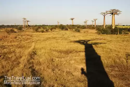 Photo of Travel Guide to Mada