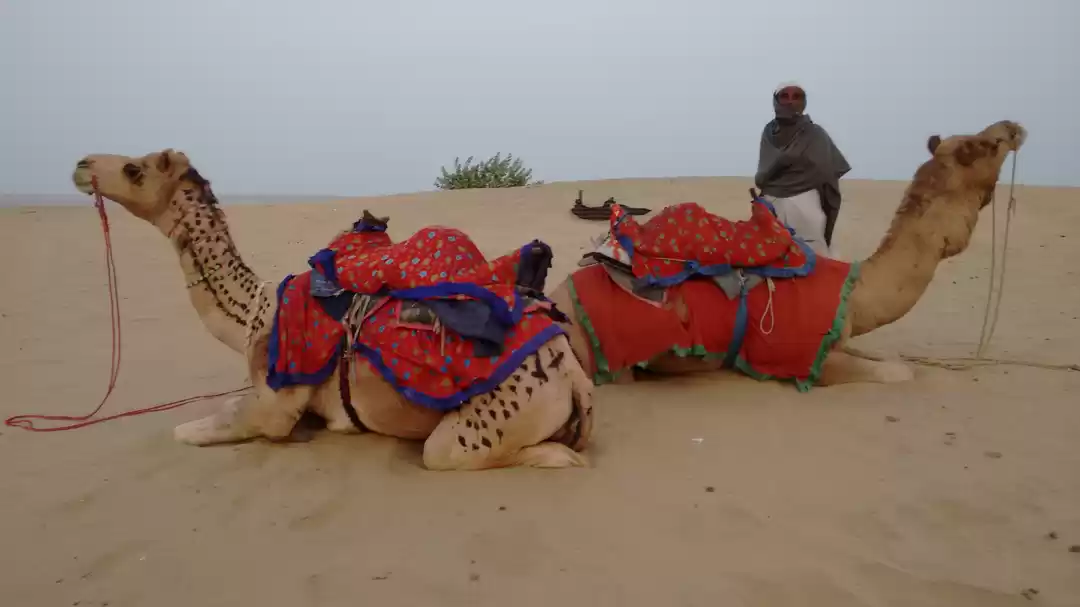 Photo of Royal Jaisalmer