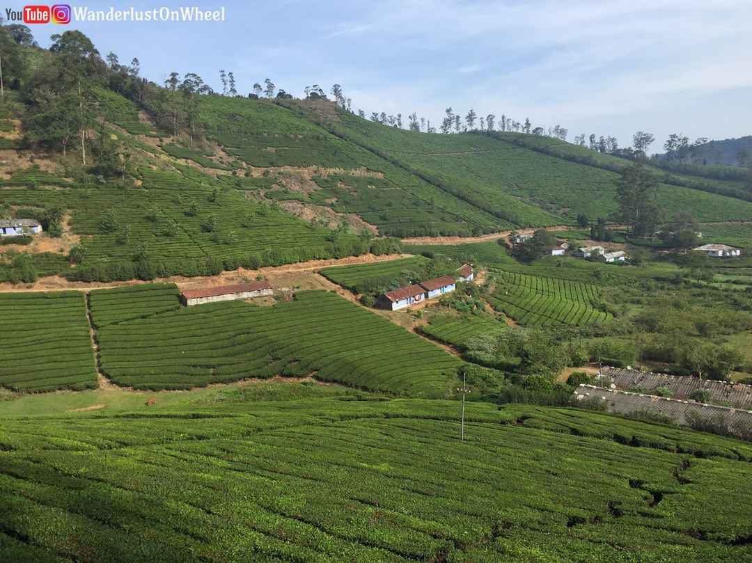 Meghamalai Places To Visit An Unexplored Hill Station Wanderlust On Wheel Tripoto We stayed at raja andhuvan estate homestay. meghamalai places to visit an