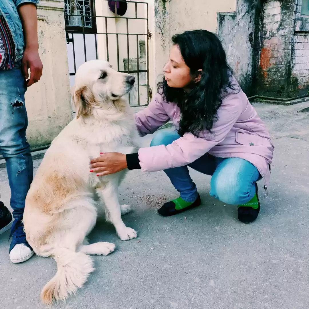 Photo of Charmi Joshi