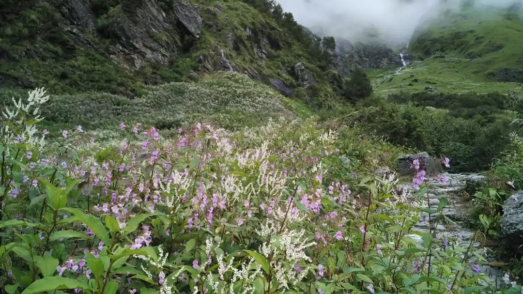 Photo of A Geologist's Baptis