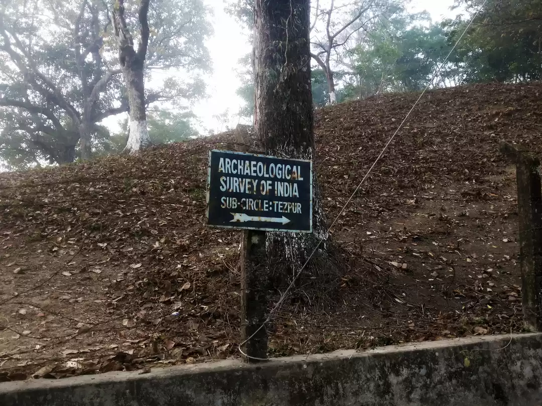 Photo of Bamuni Hills