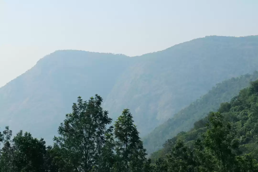 Photo of Trek to Yercaud's My