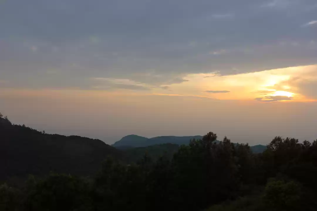 Photo of 5 things to do on yo