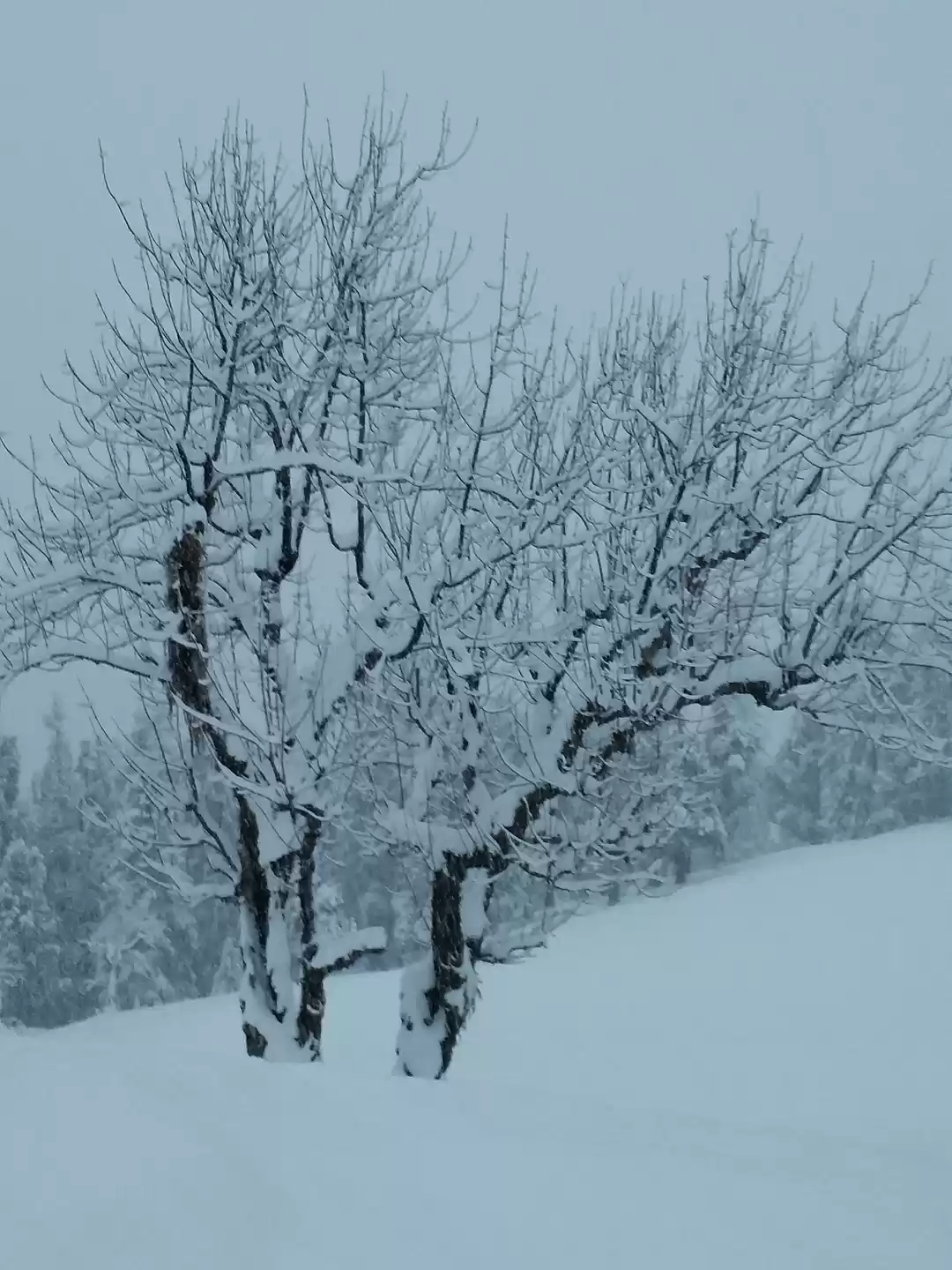 Photo of Winter is coming - K