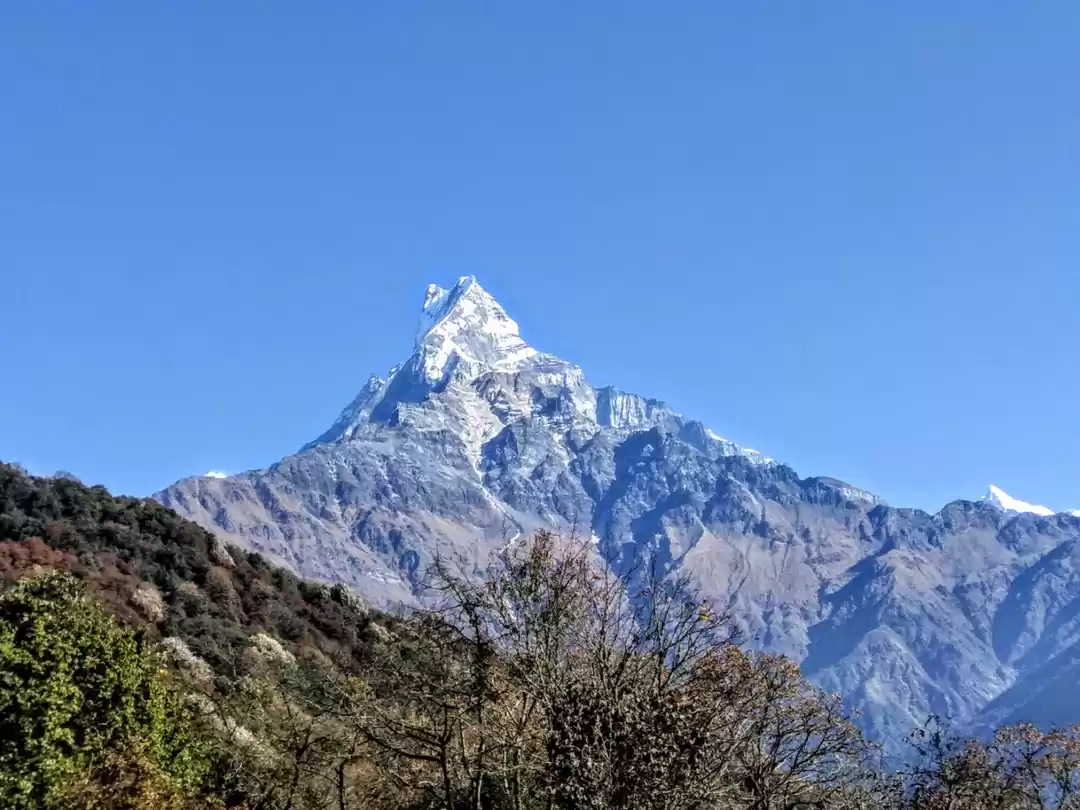 Photo of Solo trek to Mardi H