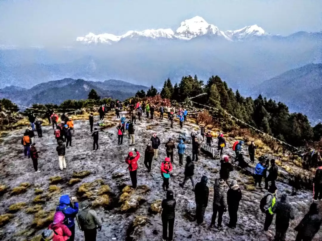 Photo of Solo trek to Ghorepa
