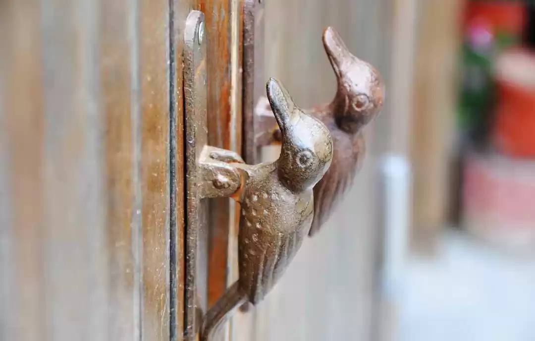 Photo of Beijing Private Coun