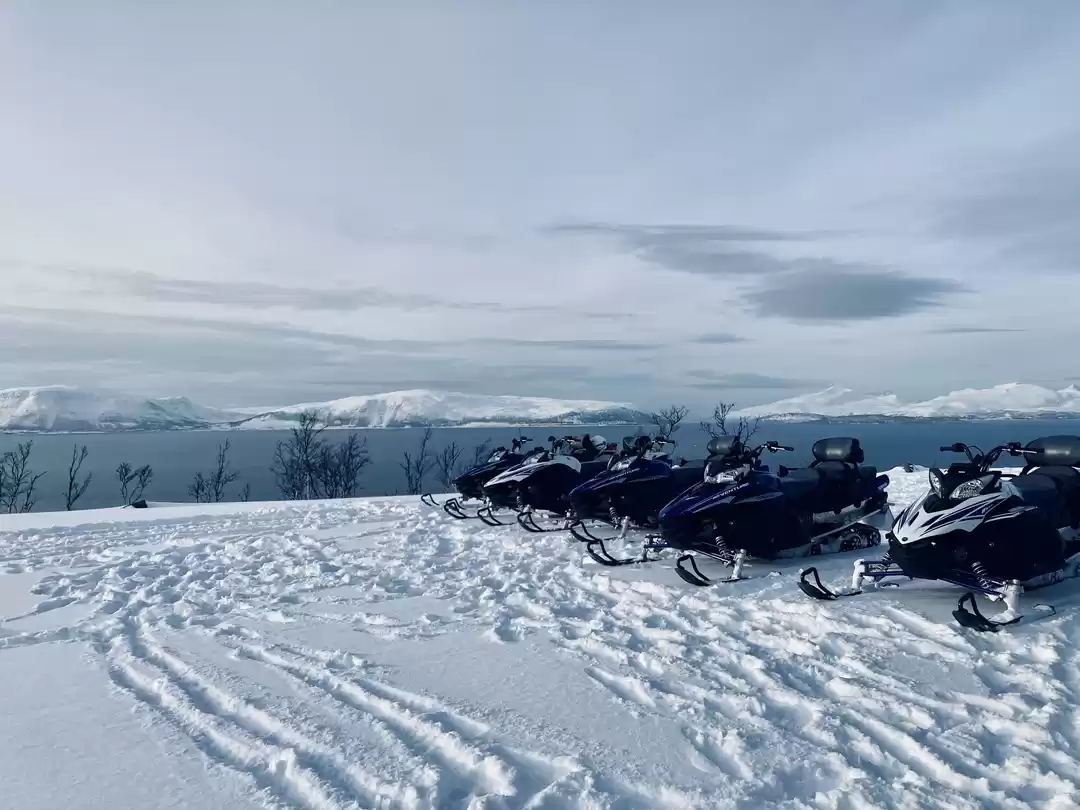 Photo of The ultimate guide t