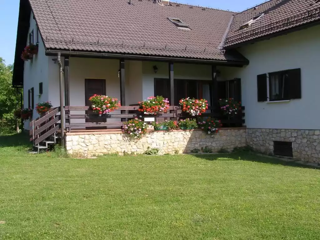 Photo of Guesthouse Academia 