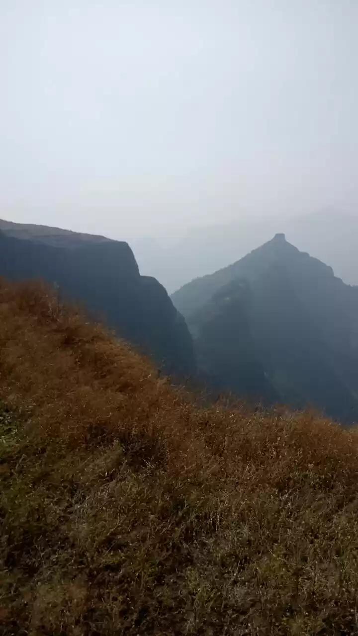 Photo of Almighty Harishchand