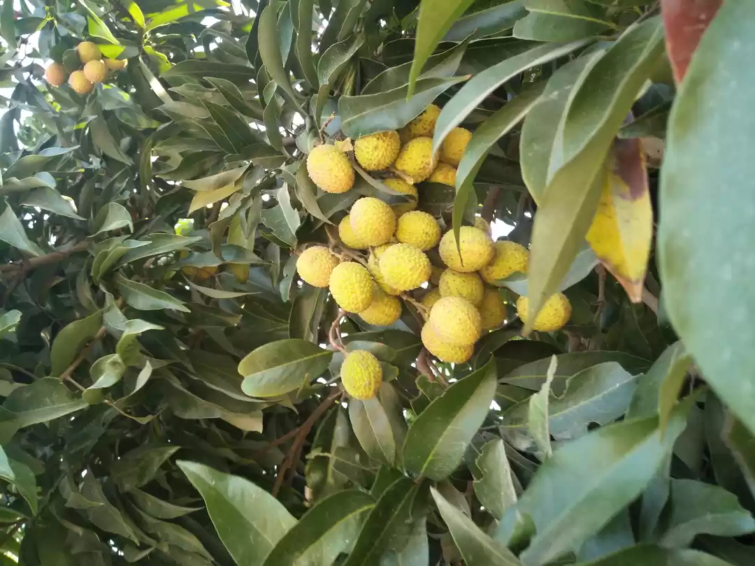 Photo of THE WAY I WENT.. I R