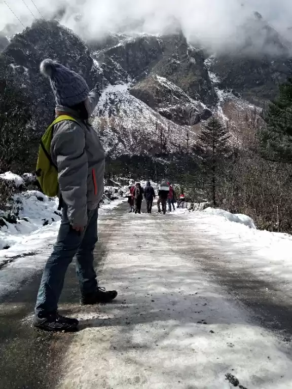 Photo of SIKKIM DELIGHT.