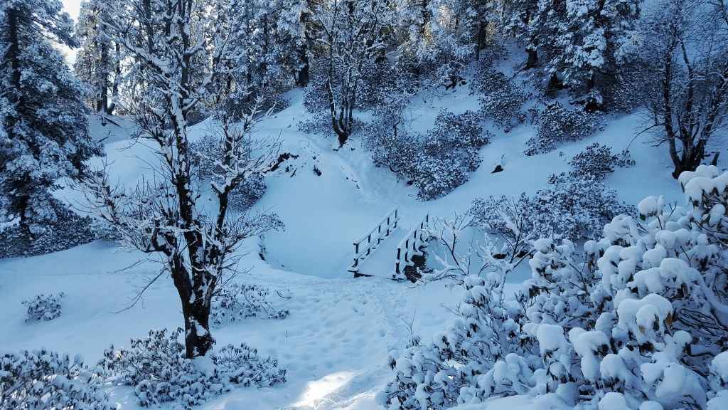 7 Best Winter Treks In India For Those Who Love Snowclad Mountains