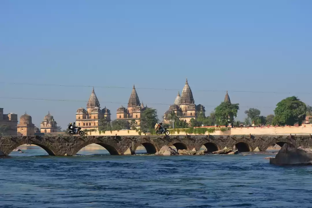 Photo of Guess What? The Most