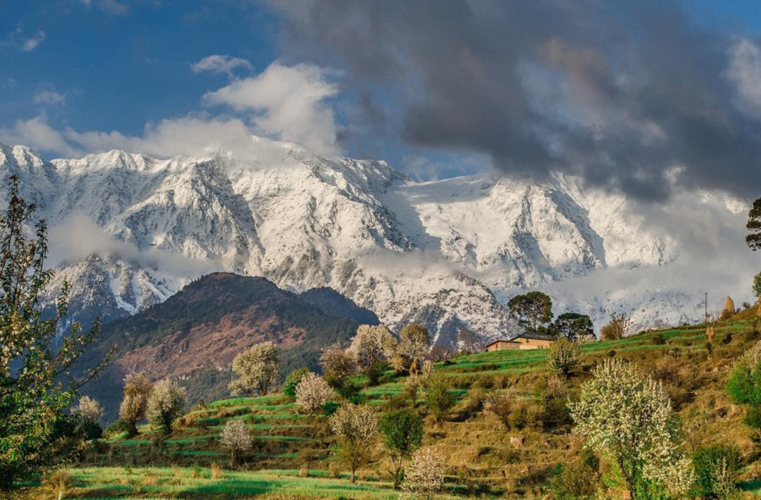 16 Indian Instagrammers Who Broke The Internet With Their Inspiring Journeys Tripoto Generally,an instagrammer means any one who uses instagram and signs up for an account. 16 indian instagrammers who broke the