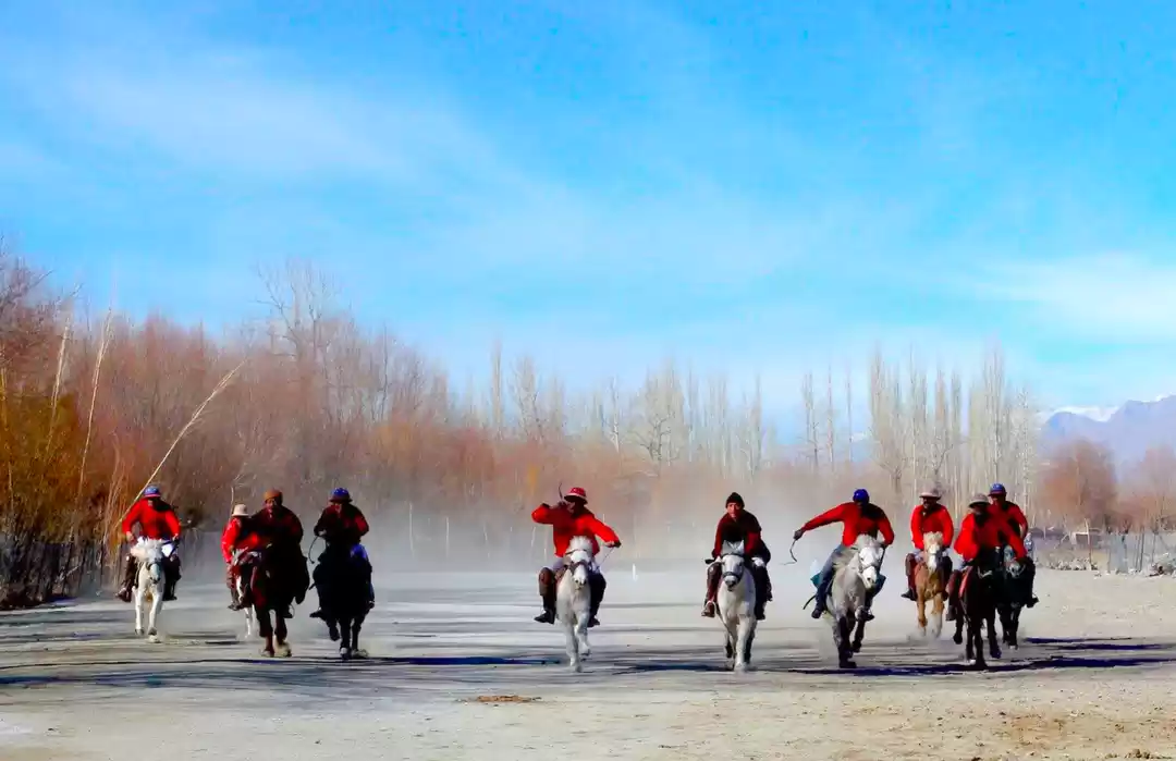 Photo of Visit The Ladakh Pol