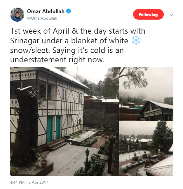 Photo of This April Snowfall 