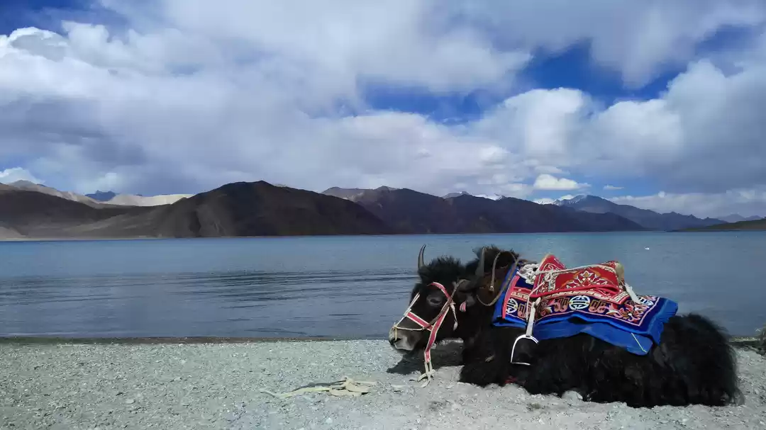 Photo of Best Experiences and