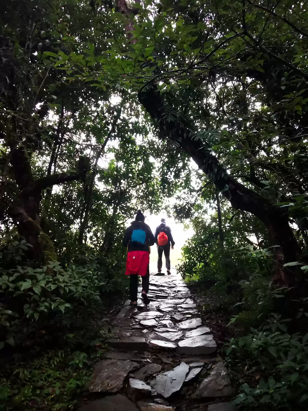 Photo of Mawphlang Sacred For