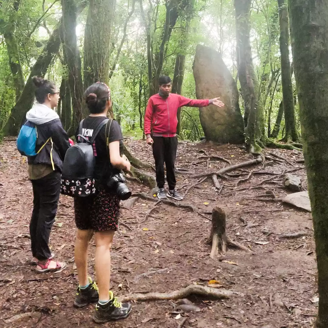 Sacred Forest Mawphlang, Meghalaya | Explore Mawphlang | Travel and Tourism  - YouTube
