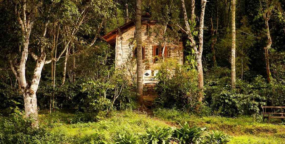 11 Secret Hotels In India Where You Can Truly Get Away From The Internet Tripoto The property is placed at a hill locked valley, surrounded by virgin forests and a natural stream flowing through the resort. 11 secret hotels in india where you can