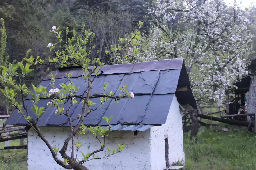 Photo of Kheerganga Trek: A J