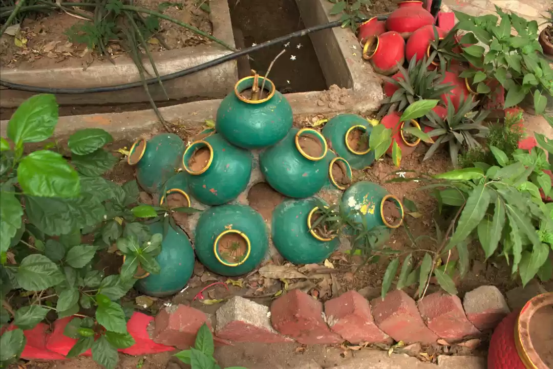 Photo of Nawab's Den-Babi Dyn