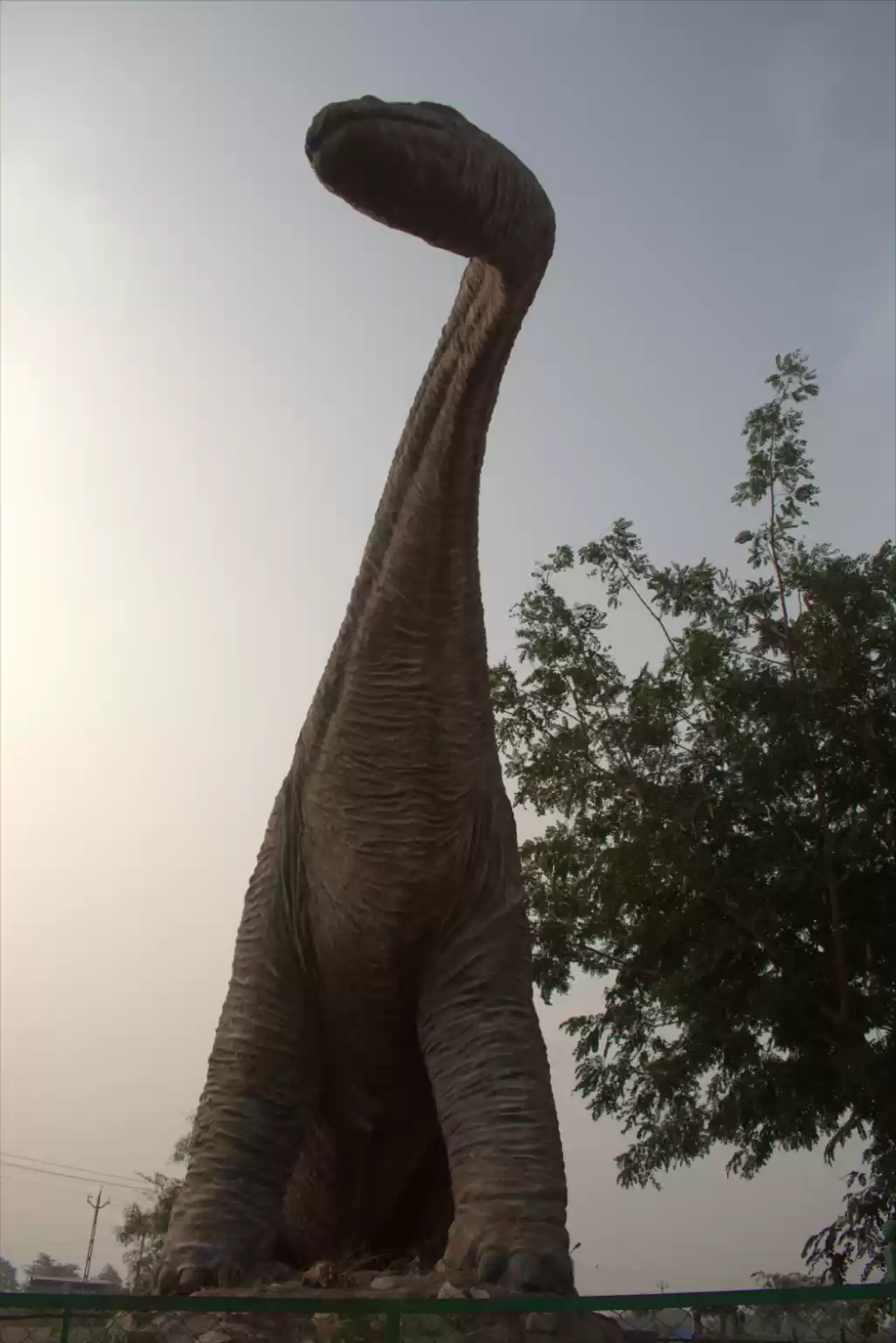 Photo of Dinosaur Fossil Park