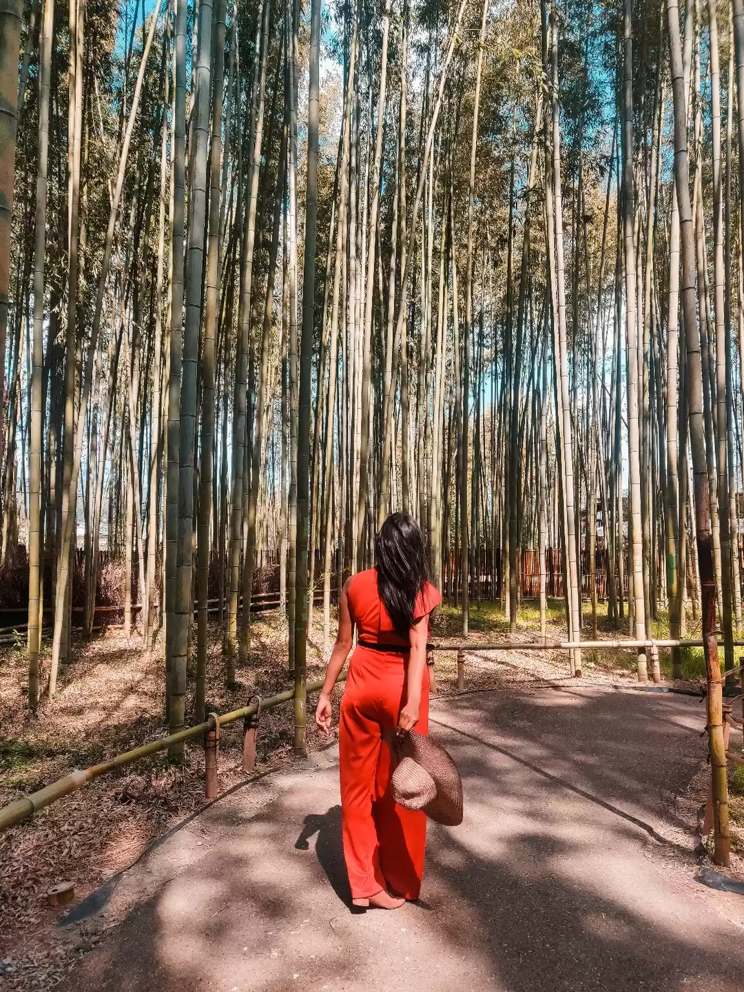 Photo of Arashiyama Bamboo Gr