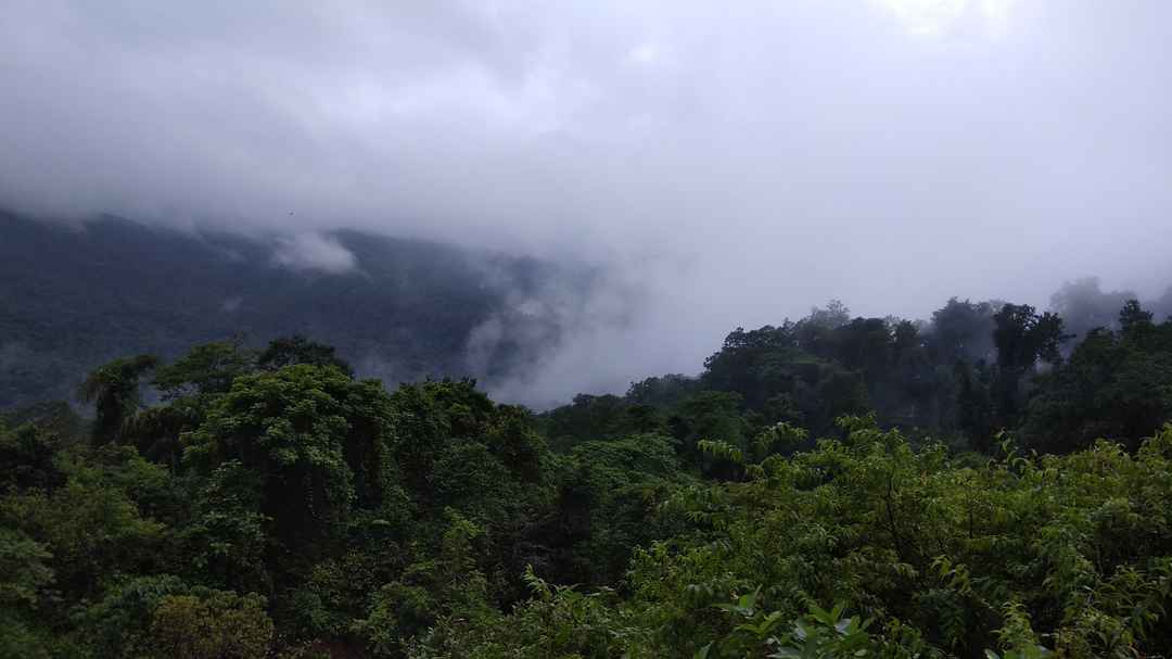 Photo of Solo trip to Goa during Monsoon