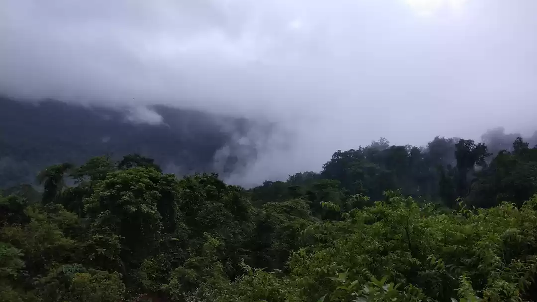 Photo of Solo trip to Goa dur