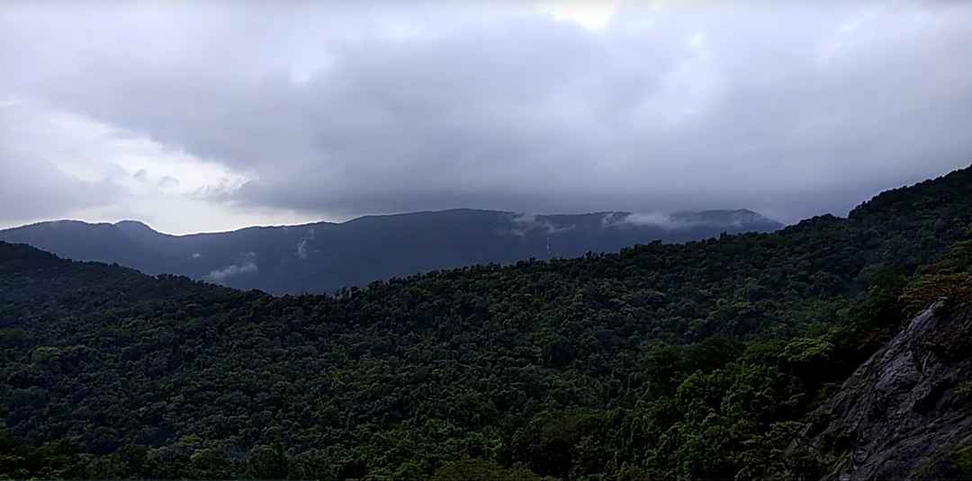 Solo Trip To Goa During Monsoon Tripoto