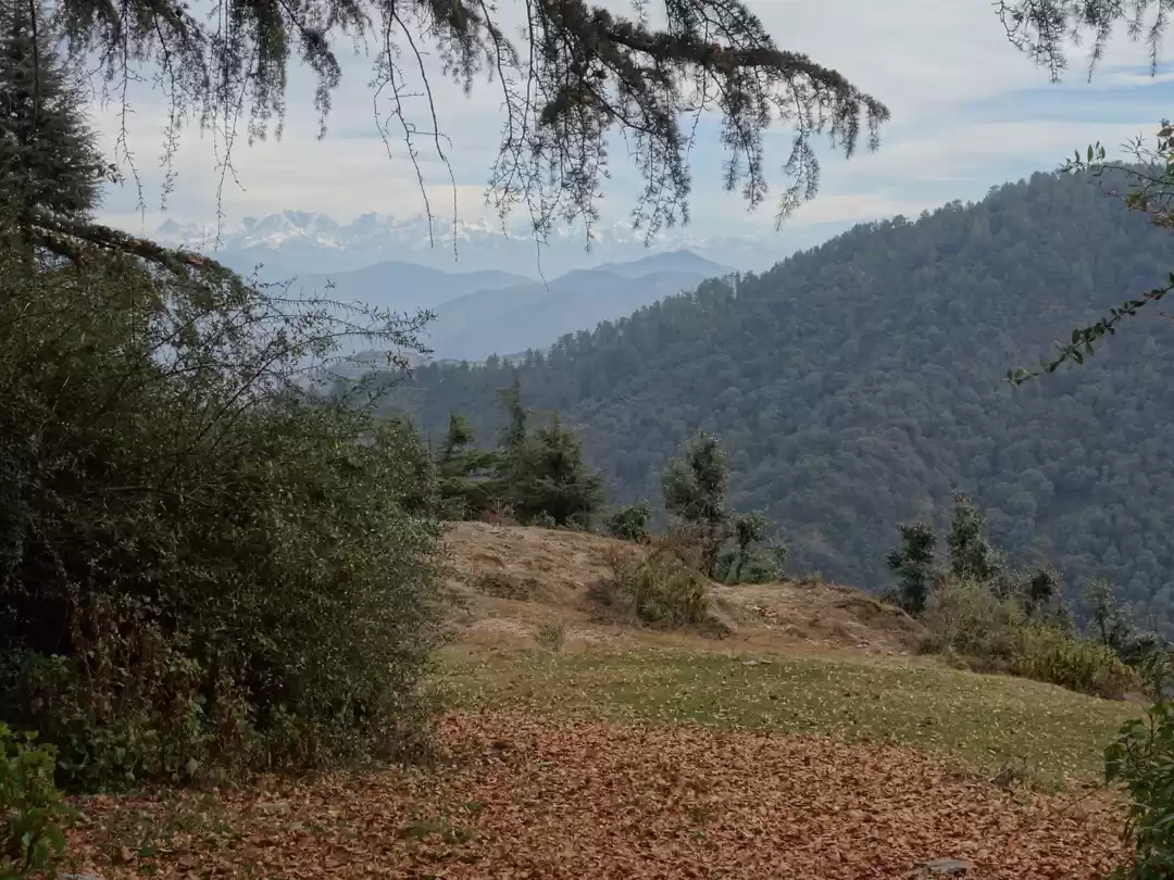 Photo of Hidden Wonders of Vi