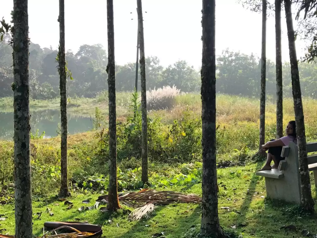 Photo of Long Weekend Diaries