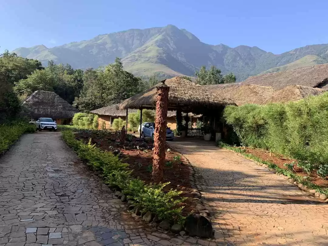 Photo of Weekend at Wayanad -