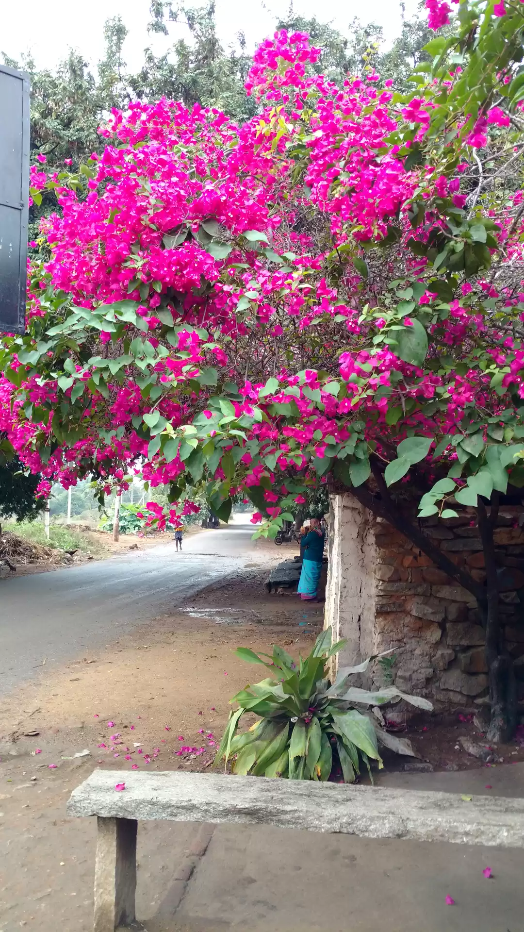 Photo of 'A Drive to remember