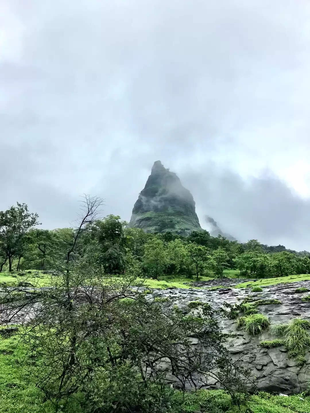 Photo of BHIMASHANKAR TREK