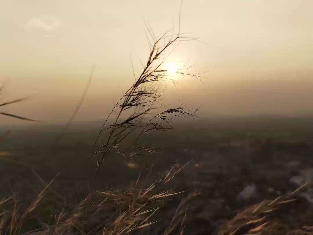 Photo of A trip to badami, pa