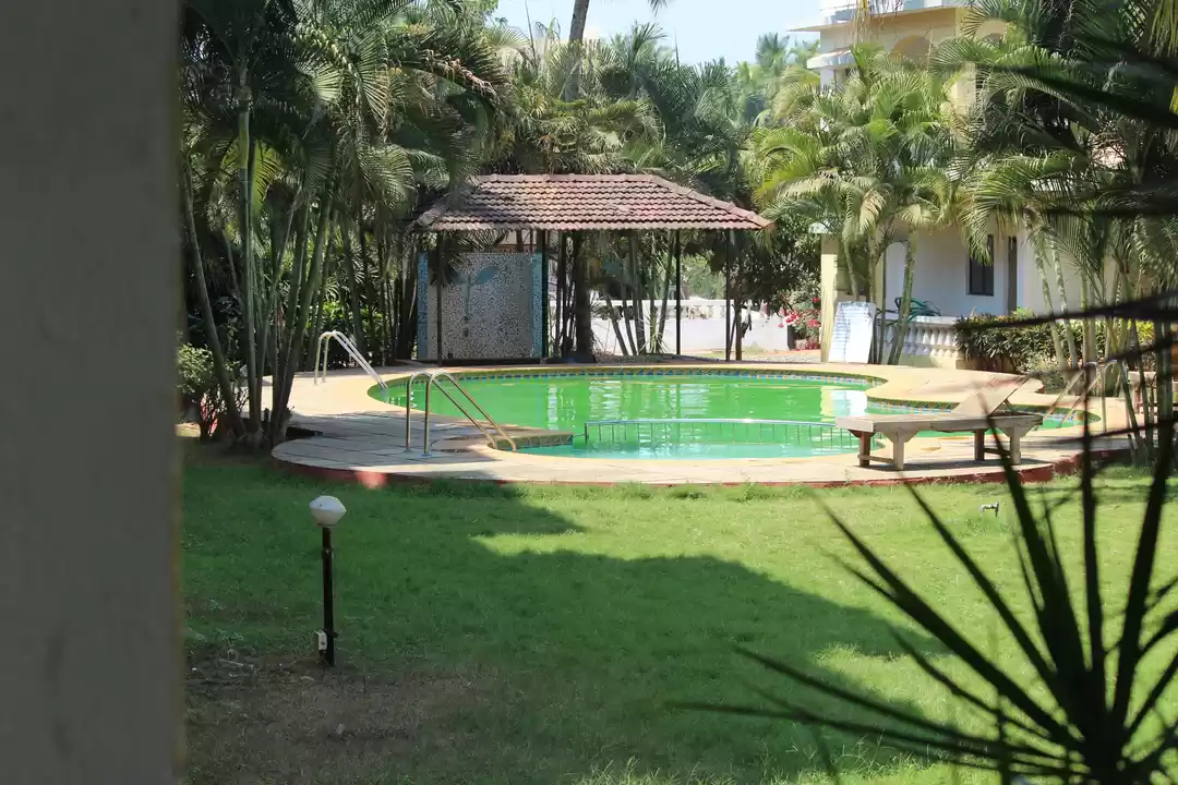 Photo of GOA March 2017