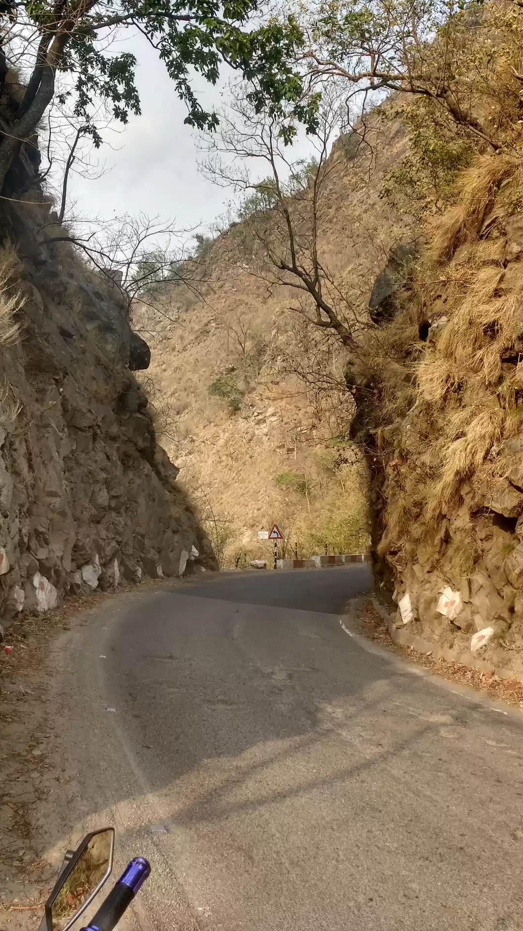 Photo of Road Trip to Lansdow