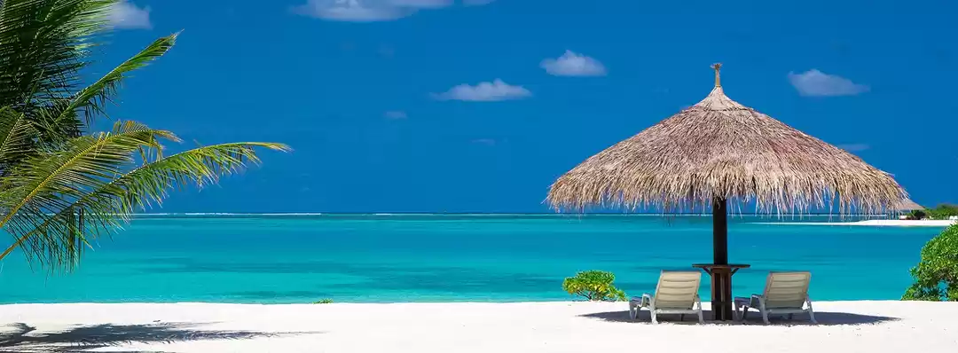 Photo of Goa Shopping Markets