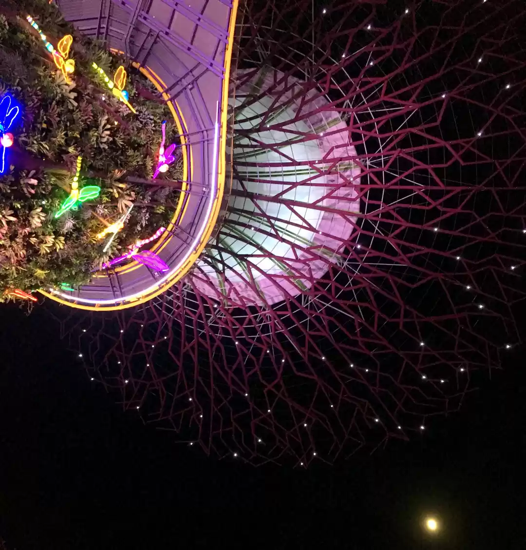 Photo of City lights of Singa