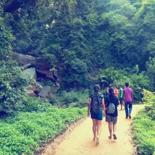 Photo of Amidst the river is 
