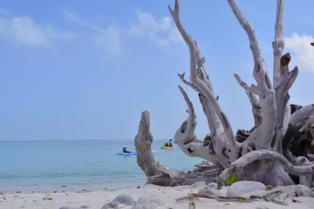 Photo of Blue Sea And White S