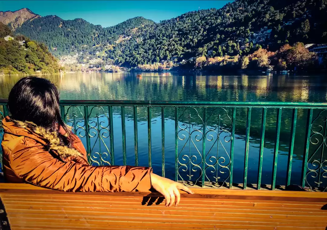 Photo of Basking in the sun w