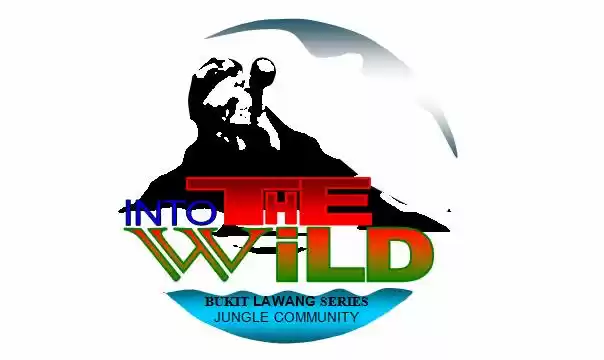 Photo of Into The Wild Bukit Lawang