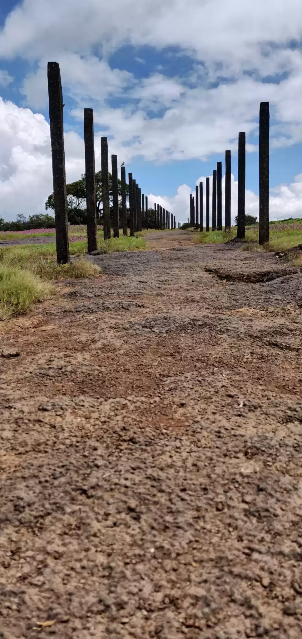 Photo of Trip to Kaas Plateau