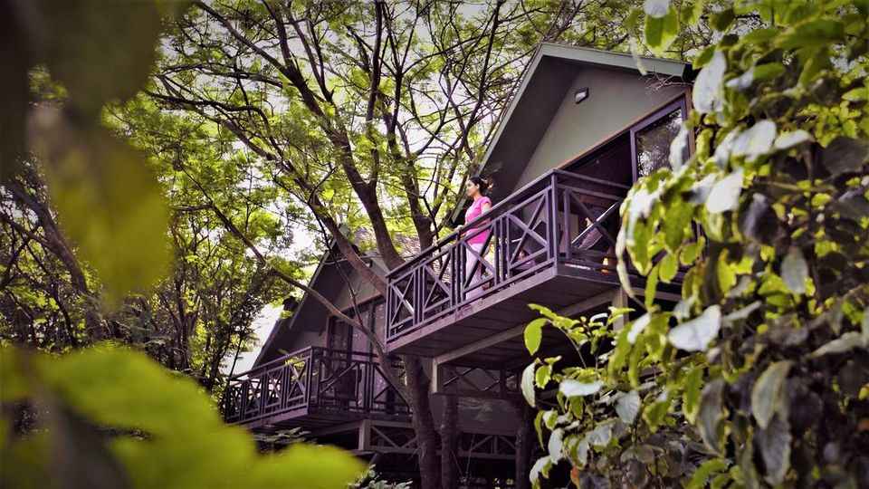 21 Plush Luxury Resorts Near Mumbai For A Weekend Escape We have private bungalow with swimming pool in alibaug. 21 plush luxury resorts near mumbai for
