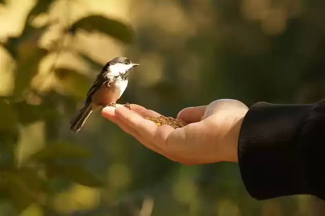 Photo of Find solace in the l